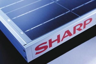 夏普強化海外業(yè)務 在華試售光伏電池，電子產(chǎn)品銷售齊頭并進